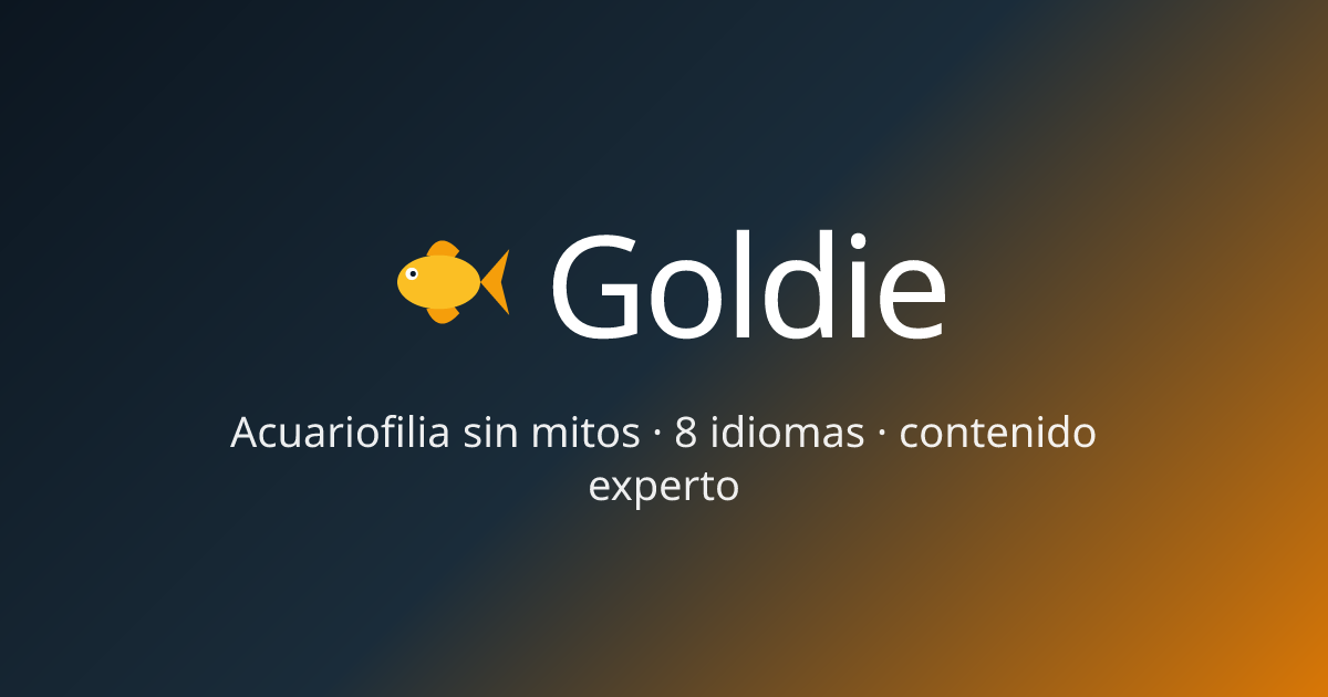 Goldie — Guía experta de acuariofilia